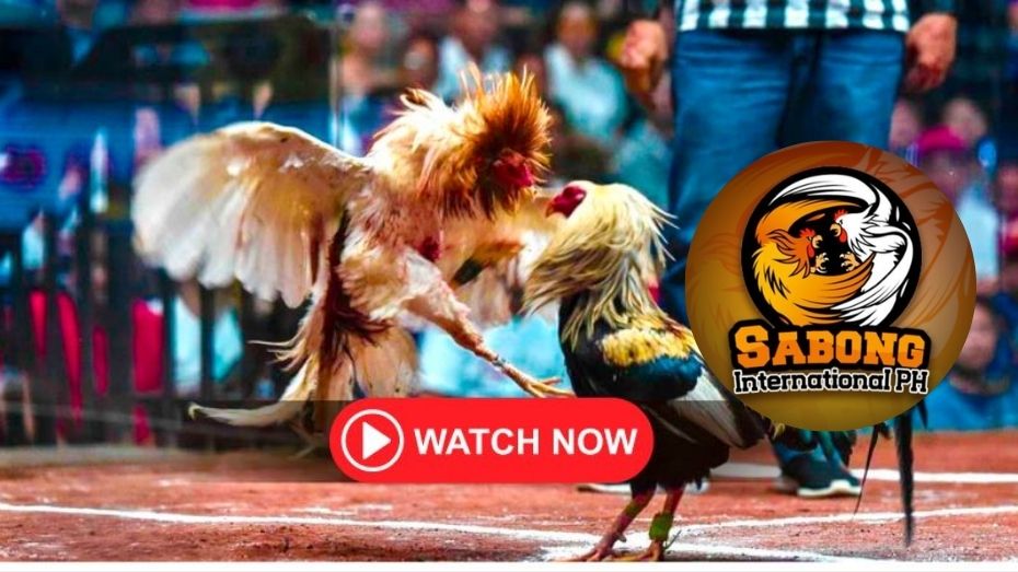 pdf to word converter 100 free