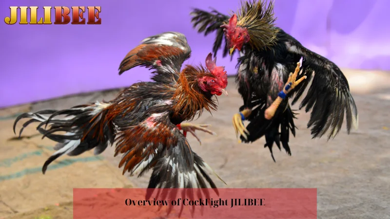 slot free 100 sign up